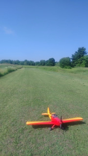 IMG_1508.jpeg IMG_1508.jpeg