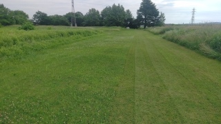 IMG_20250704_070629.jpg