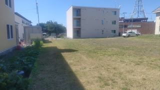 IMG_1523.jpeg