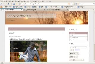 Screenshot-ѥѤΤܤ - Mozilla Firefox.png