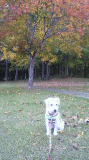 2013101308470001.jpg