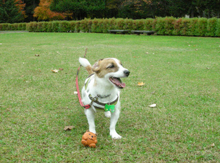 DSCN0130.jpg