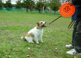 DSCN0134.jpg