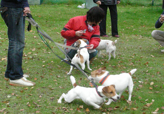 DSCN0143.jpg